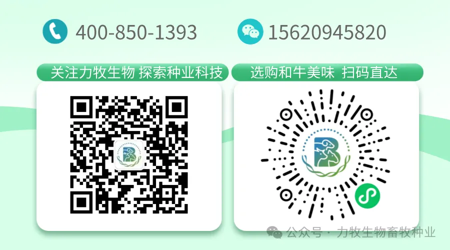 和牛育肥