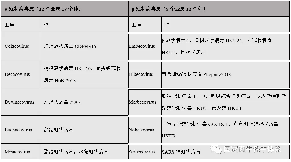 权威发布 | 请勿谈“冠”色变 ——人和动物冠状病毒的那些事