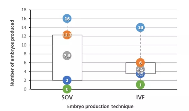 采用不同的SOV和体外受精（IVF）技术，在5个不同的集合中，所有10头母牛产生的胚胎数量（最小（绿色）、Q1（深蓝色）、平均（灰色）、Q3（橙色）和最大（浅蓝色）