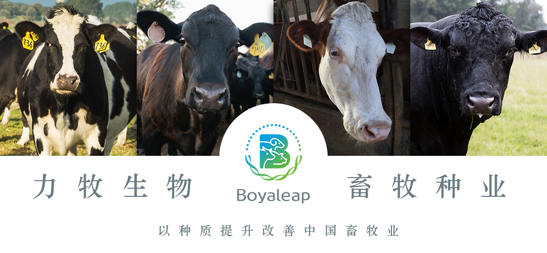 第十六届中国牛业发展大会成功召开 山东力牧生物育种实验室惊艳亮相