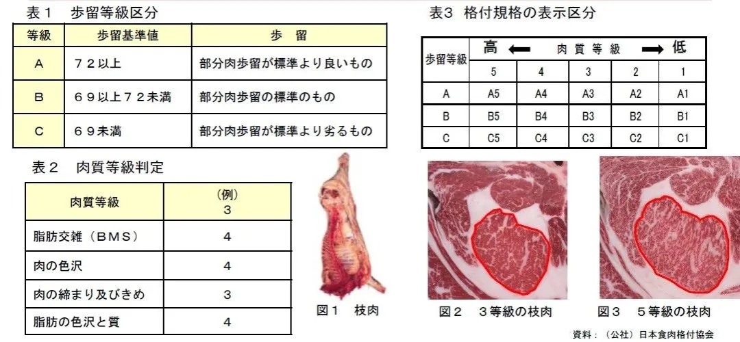 博裕力牧
