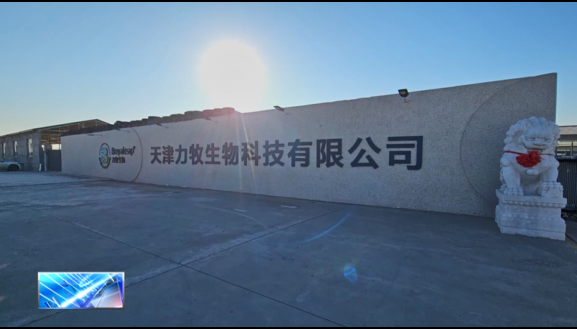 农企之光-力牧生物：和牛变“金牛” “牵”出好产业