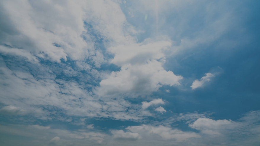 力牧生物：种业科技创造美好生活.